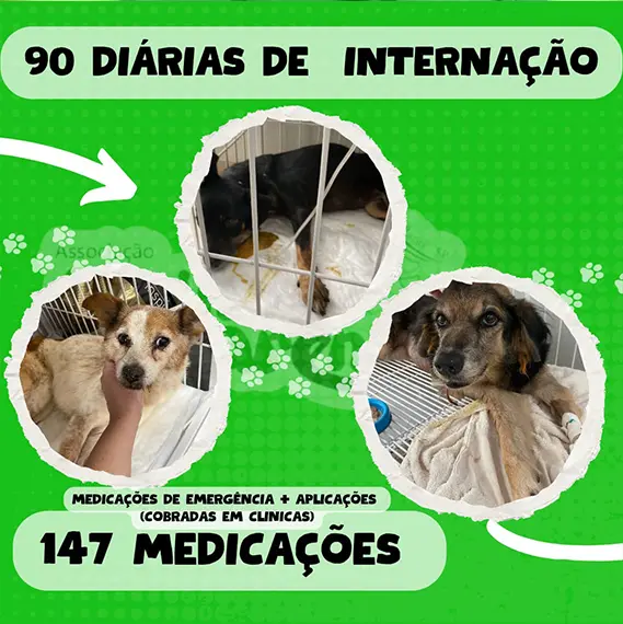 Balanço Mensal — Dezembro 2024 (imagem 3 de 10)