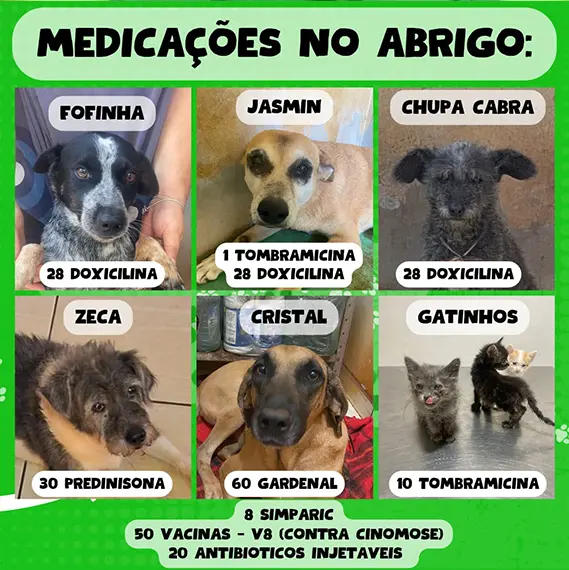 Balanço Mensal — Dezembro 2024 (imagem 4 de 10)