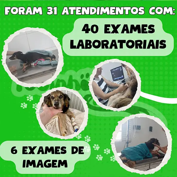 Balanço Mensal — Dezembro 2024 (imagem 5 de 10)