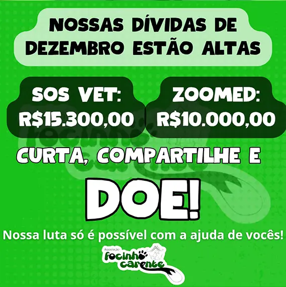 Balanço Mensal — Dezembro 2024 (imagem 8 de 10)