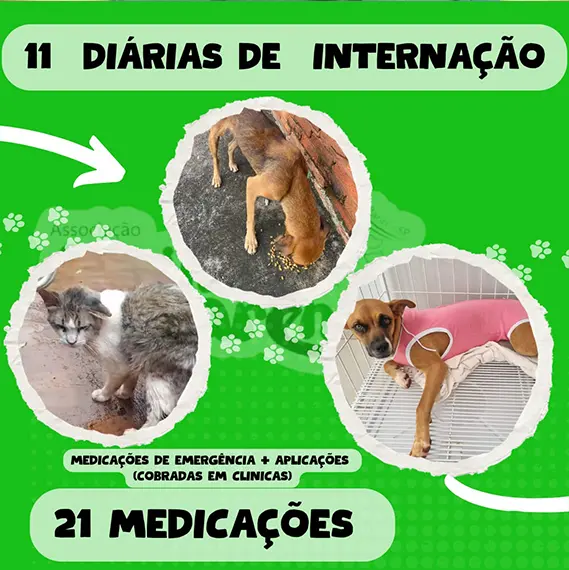 Balanço — Fevereiro 2026 (imagem 1 de 19)