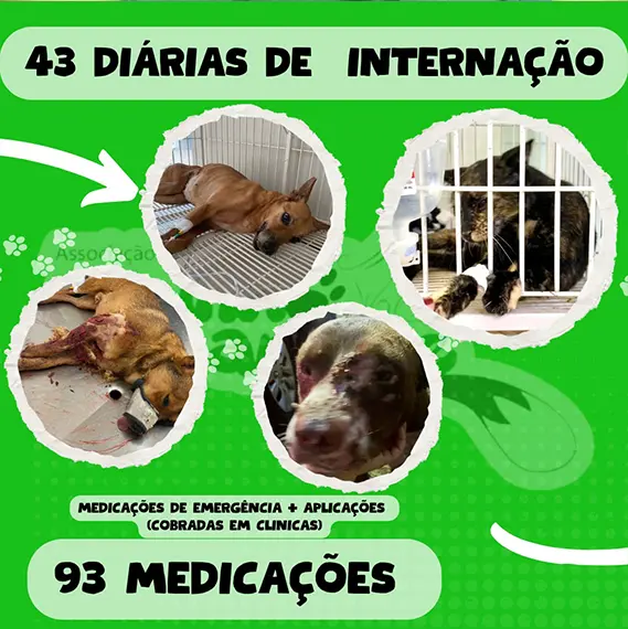 Balanço — Fevereiro 2026 (imagem 12 de 19)