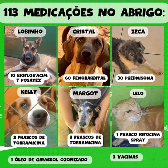 Balanço — Fevereiro 2026 (imagem 17 de 19)