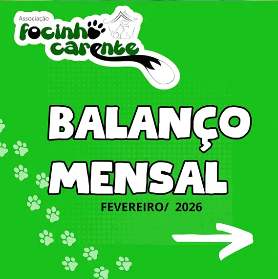 Balanço — Fevereiro 2026 (imagem 2 de 19)