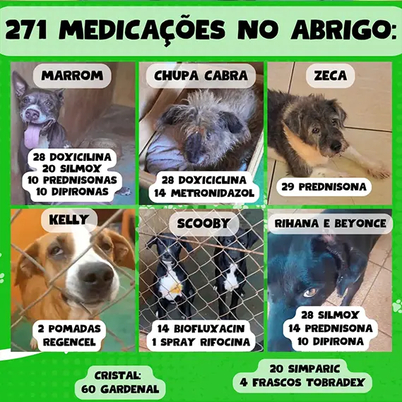 Balanço — Fevereiro 2026 (imagem 4 de 19)