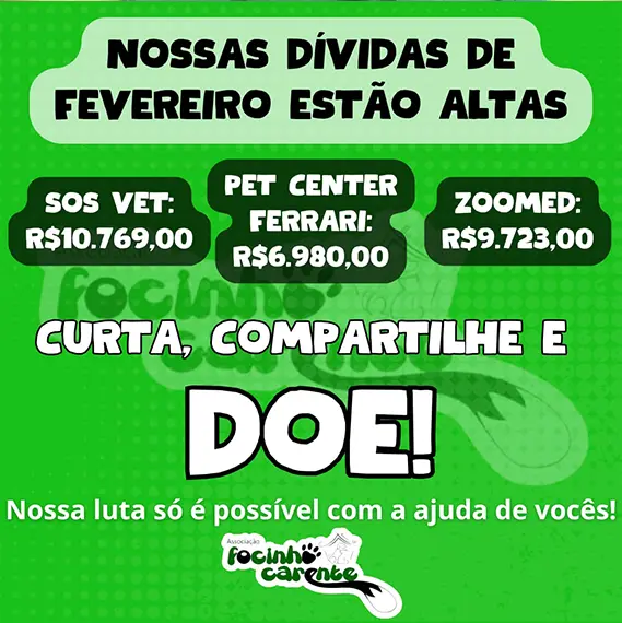 Balanço — Fevereiro 2026 (imagem 5 de 19)