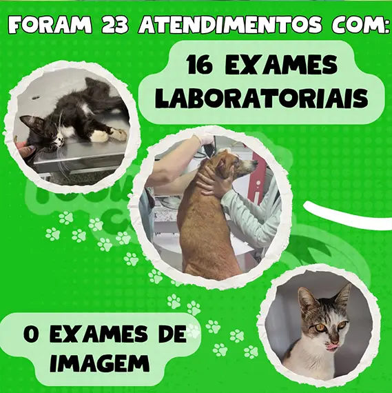 Balanço — Maio 2026 e recursos próprios (imagem 1 de 13)