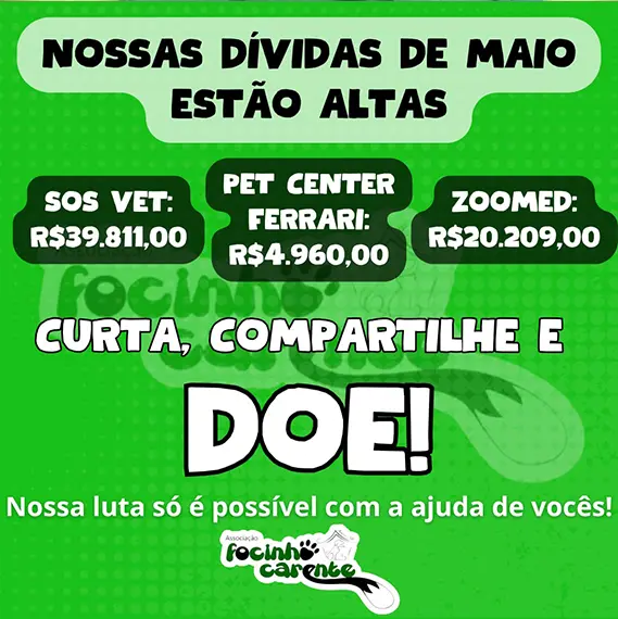 Balanço — Maio 2026 e recursos próprios (imagem 10 de 13)