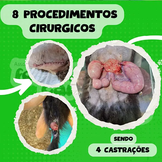 Balanço — Maio 2026 e recursos próprios (imagem 2 de 13)