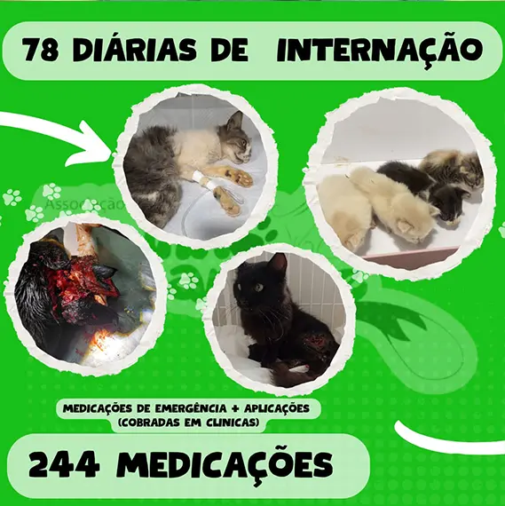 Balanço — Maio 2026 e recursos próprios (imagem 3 de 13)