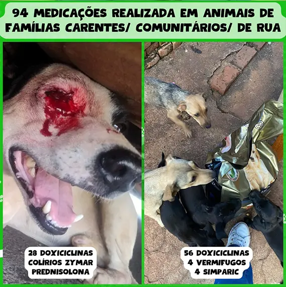 Balanço — Maio 2026 e recursos próprios (imagem 5 de 13)