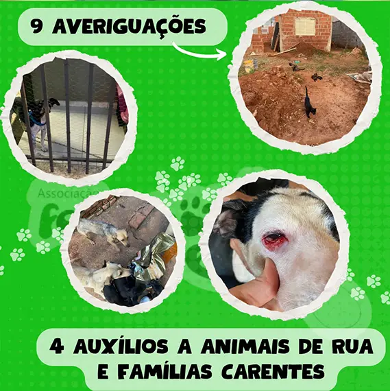 Balanço — Maio 2026 e recursos próprios (imagem 7 de 13)