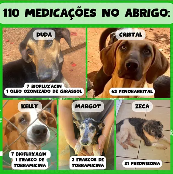 Balanço — Maio 2026 e recursos próprios (imagem 8 de 13)
