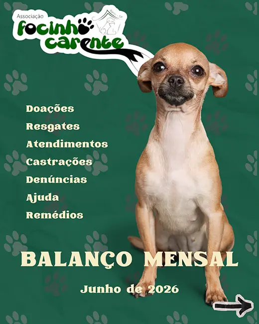 Balanço Mensal — Junho 2026 (imagem 1 de 9)