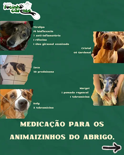 Balanço Mensal — Junho 2026 (imagem 6 de 9)