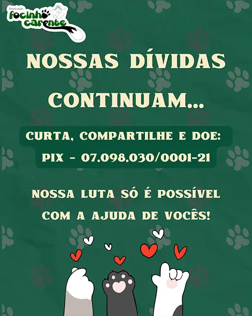 Balanço Mensal — Junho 2026 (imagem 7 de 9)