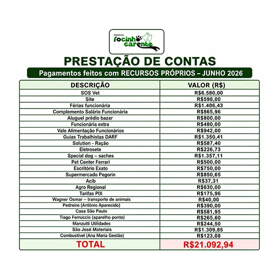 Recursos próprios Junho 2026